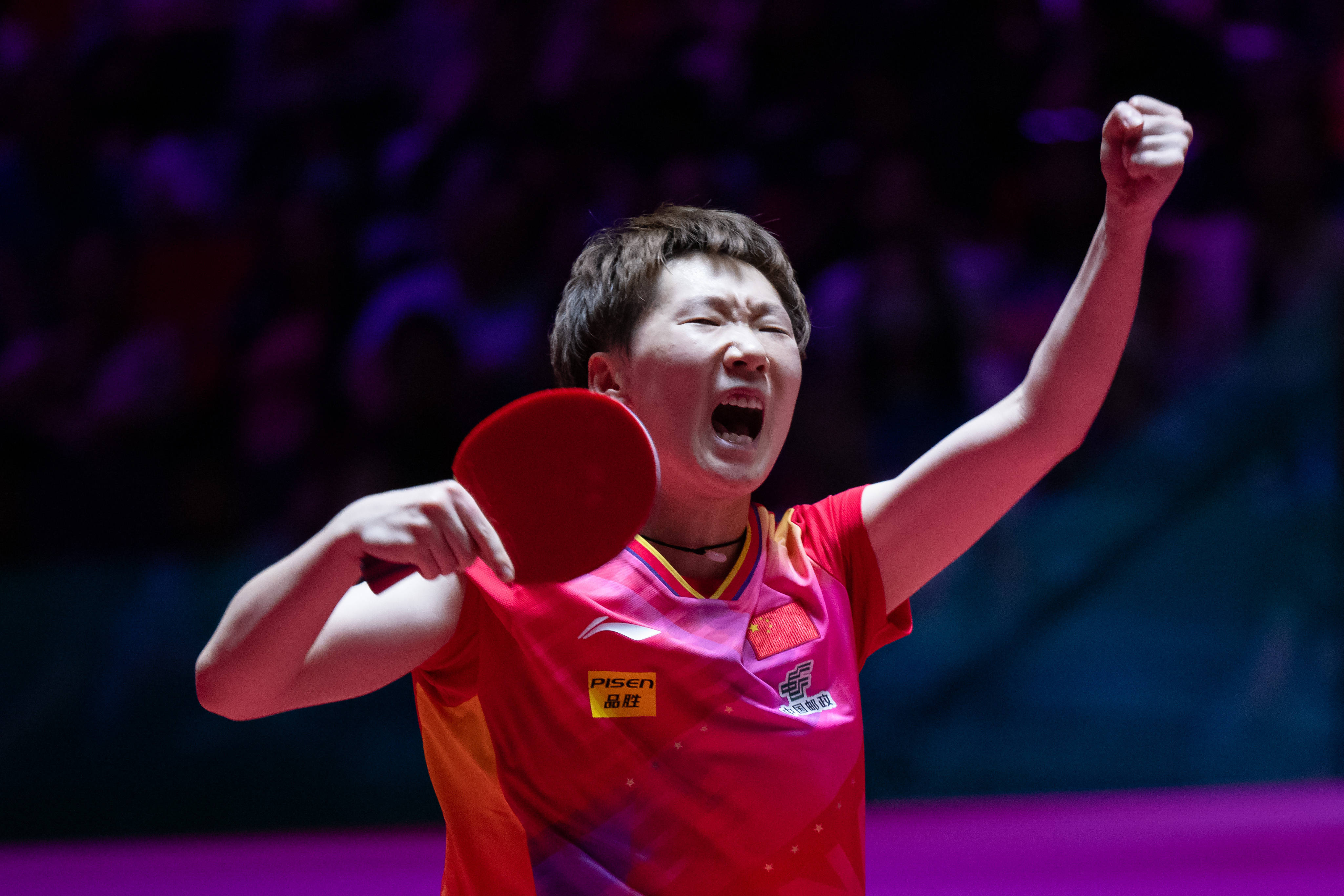 同的观赛体 同的观赛体