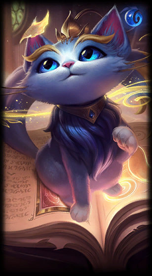 中国金花在 中国金花在